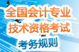 全国会计专业技术资格考试考务规则